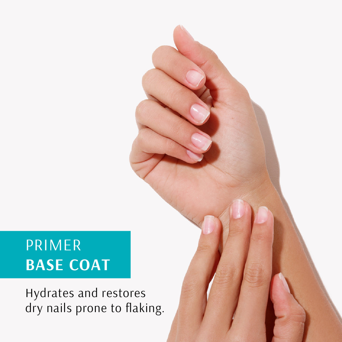 Base Coar Primer Base Coat – My Store